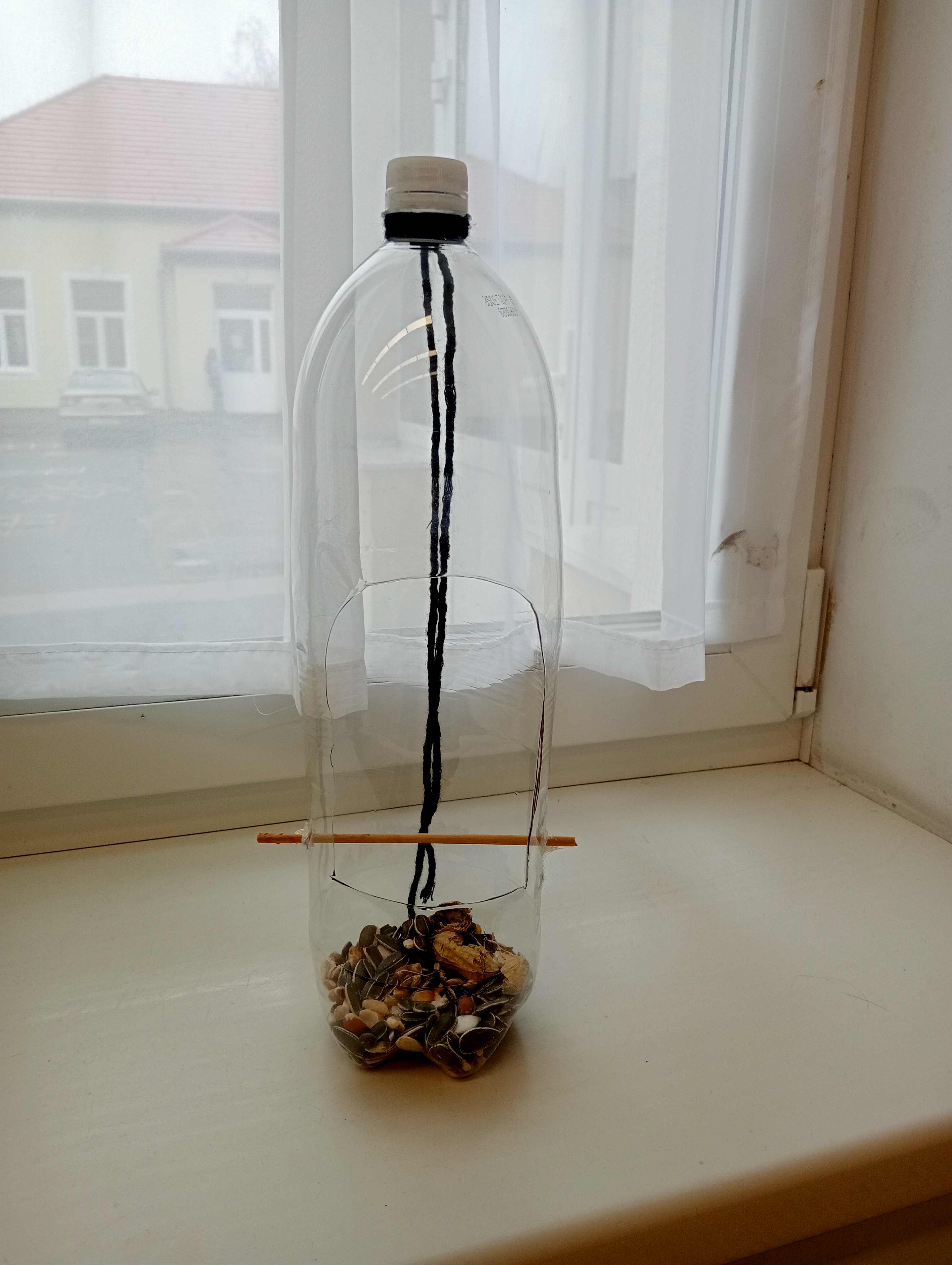 IMG20260130102052